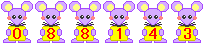 アクセスカウンター