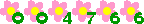 アクセスカウンター