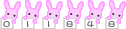 �A�N�Z�X�J�E���^�[