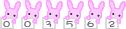 アクセスカウンター